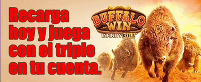 Mega Bonus 11 🎰 promotion banner